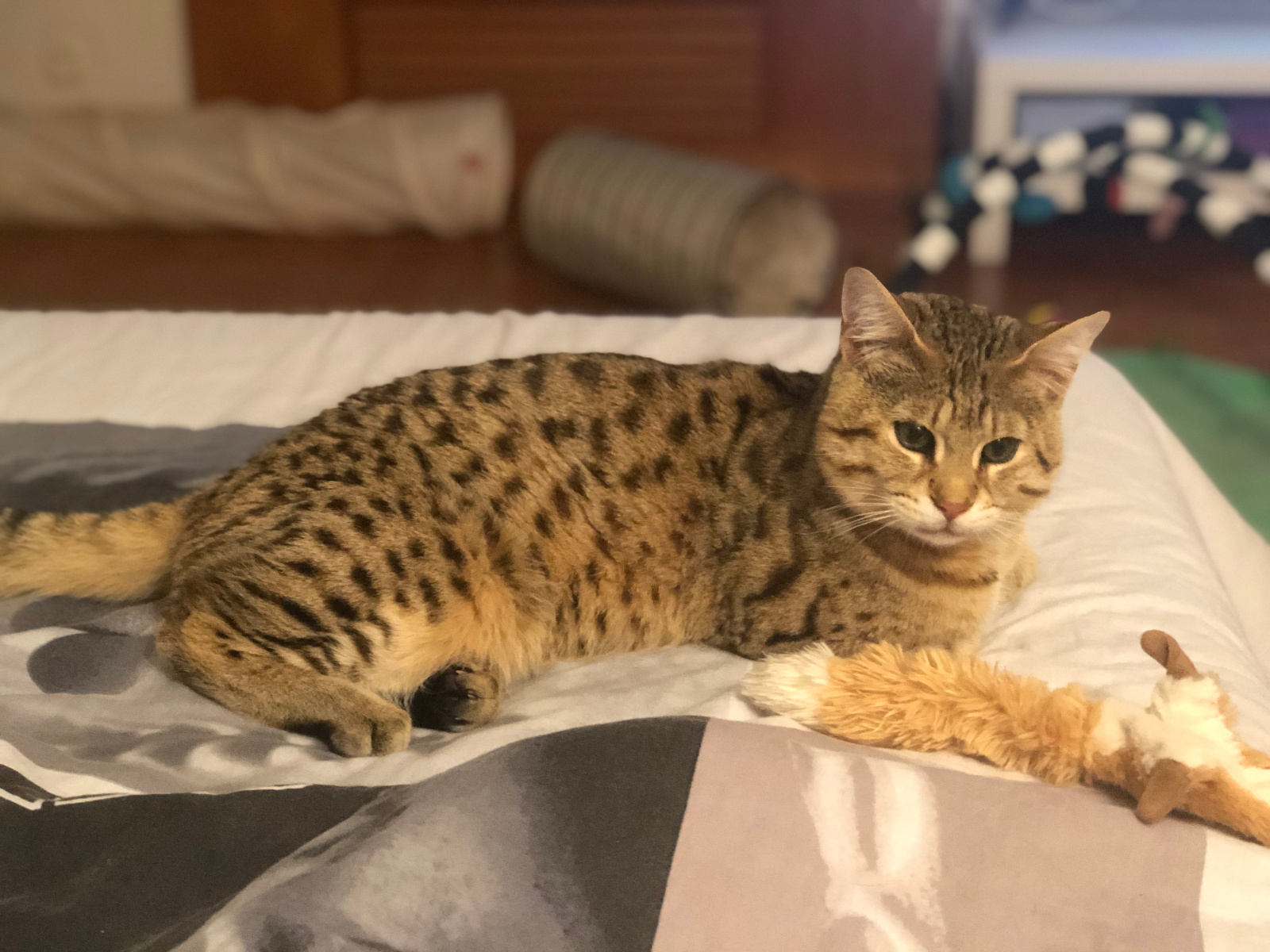 2020 04 28 20.51.31 1